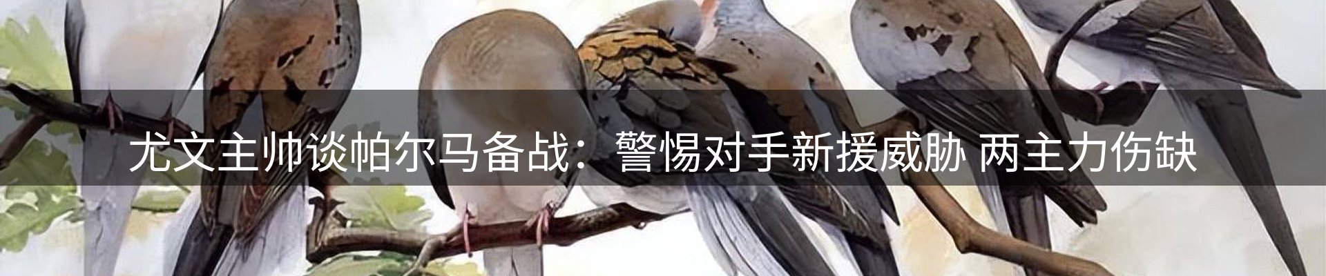 行业简报
